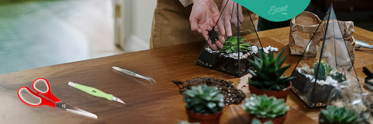 Creating Miniature Worlds: Best Tools for Terrariums & Scale Models
