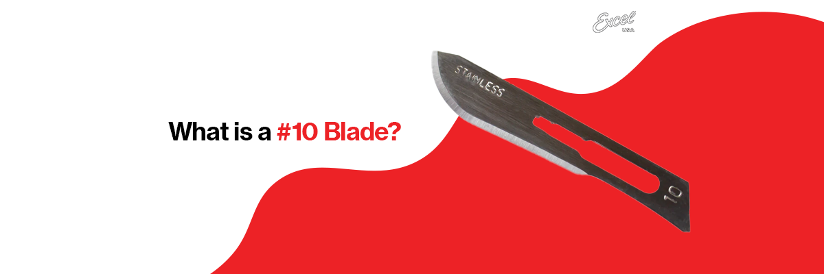 What is a 10 Blade? A Complete Guide to the Curved Workhorse for Cutting and Dissection