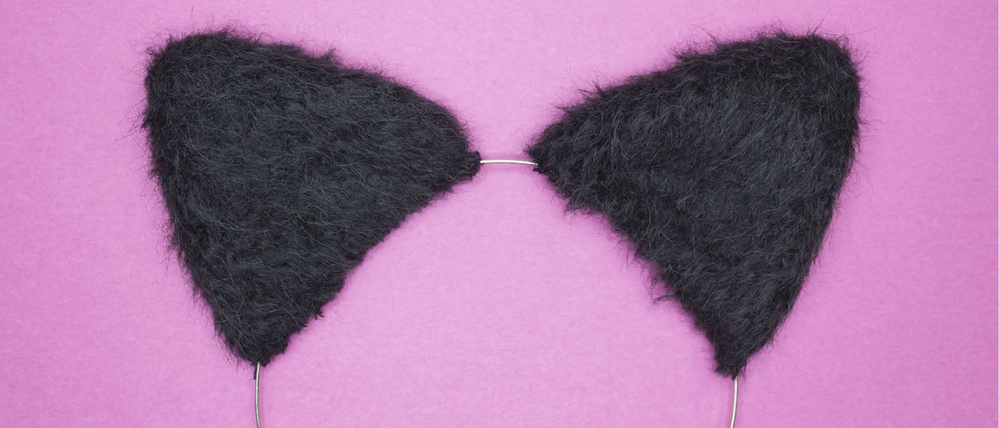 StepbyStep Guide on How to Make Cosplay Cat Ears Excel Blades