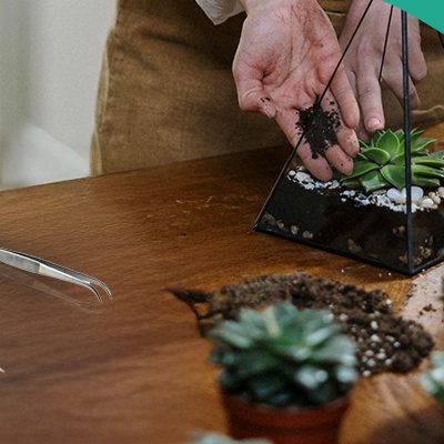 Creating Miniature Worlds: Best Tools for Terrariums & Scale Models