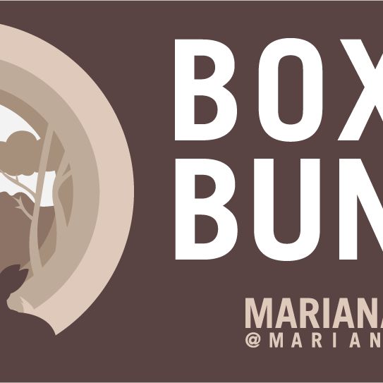 Boxed Bunny - Mariana Coan @mariana_coan