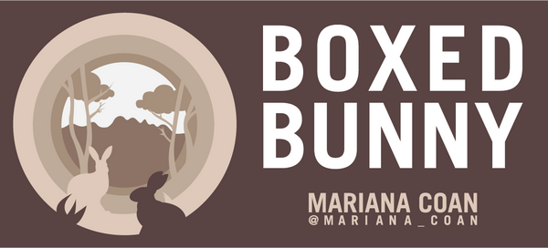 Boxed Bunny - Mariana Coan @mariana_coan