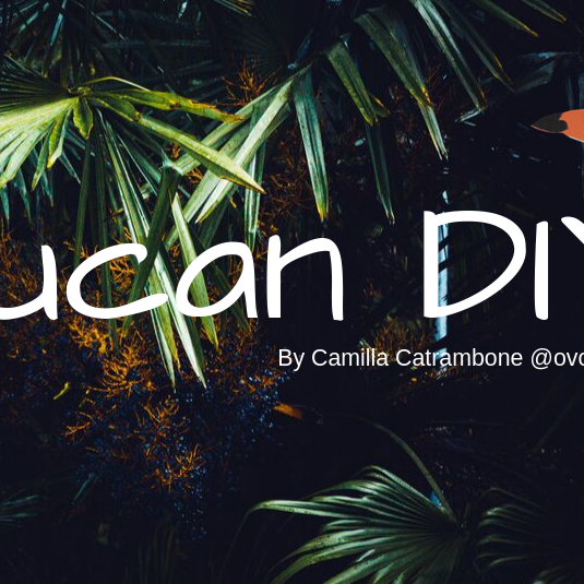 Toucan DIY - Camilla Catrambone @Ovotondo