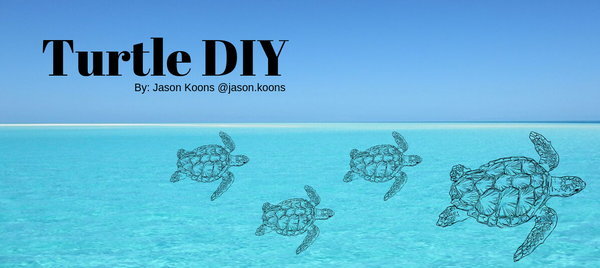 Turtle DIY - Jason Koons @jason_koons