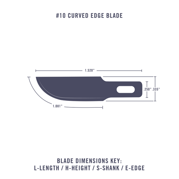 #10 Curved Edge Blade